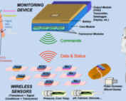 Wide body area network